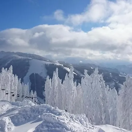 Schneeberg Apartman Mühlbach am Hochkönig