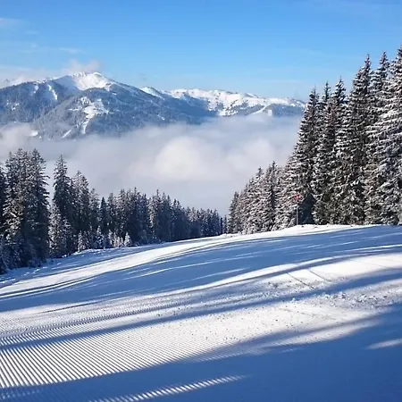 Schneeberg *