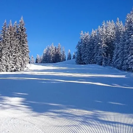 Schneeberg Apartman *