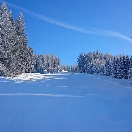 Schneeberg Mühlbach am Hochkönig