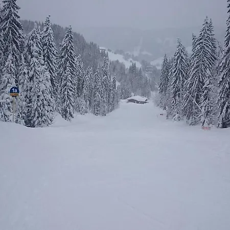 Schneeberg Apartman *